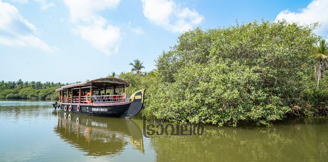 5.Nelliyadi river tourism mangrove forest